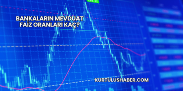 Bankaların Mevduat Faiz Oranları Kaç?