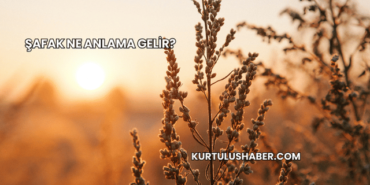 Şafak Ne Anlama Gelir?