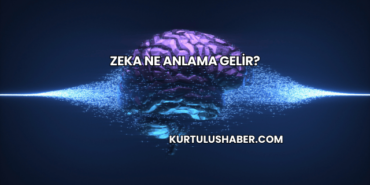 Zeka Ne Anlama Gelir?