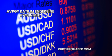 AVPGY Katılım Endeksine Uygun mu?