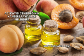 Acı Kayısı Çekirdeğinin Kansere Faydaları Nelerdir?