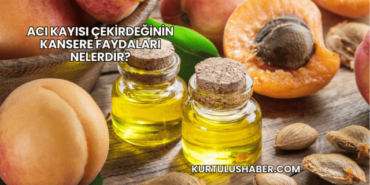Acı Kayısı Çekirdeğinin Kansere Faydaları Nelerdir?