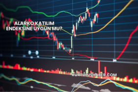 Alarko katılım endeksine uygun mu?