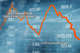 Aselsan Katılım Endeksine Uygun mu?