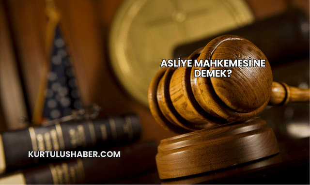 Asliye mahkemesi ne demek?