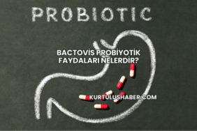 Bactovis Probiyotik Faydaları Nelerdir?
