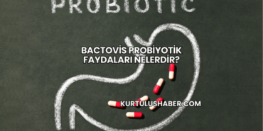 Bactovis Probiyotik Faydaları Nelerdir?