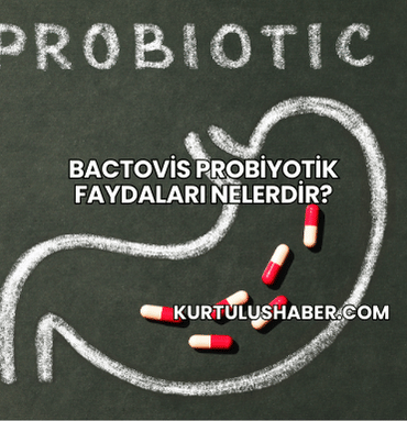 Bactovis Probiyotik Faydaları Nelerdir?