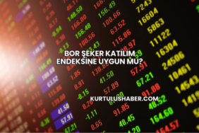 Bor Şeker Katılım Endeksine Uygun mu?