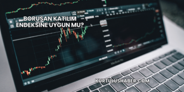 Borusan Katılım Endeksine Uygun mu?