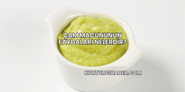 Çam Macununun Faydaları Nelerdir?