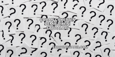 Çoban Çökerten Demir Dikeni Faydaları