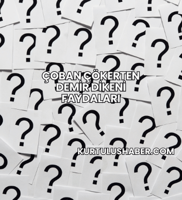 Çoban Çökerten Demir Dikeni Faydaları