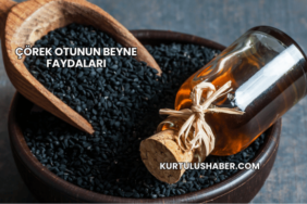 Çörek Otunun Beyne Faydaları