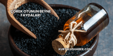 Çörek Otunun Beyne Faydaları