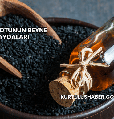 Çörek Otunun Beyne Faydaları