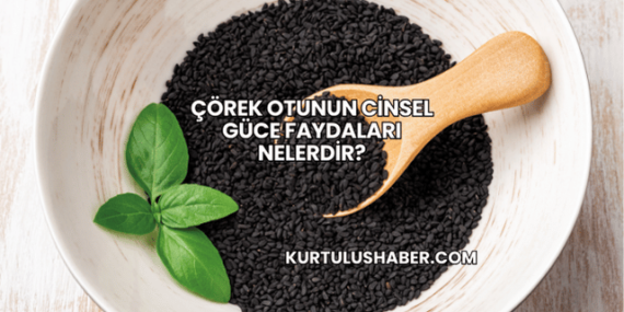 Çörek Otunun Cinsel Güce Faydaları Nelerdir?