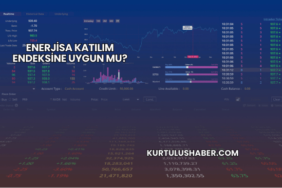 Enerjisa Katılım Endeksine Uygun mu?