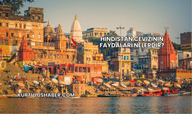 Hindistan cevizinin faydaları nelerdir?