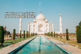 Hindistan cevizinin faydaları nelerdir?