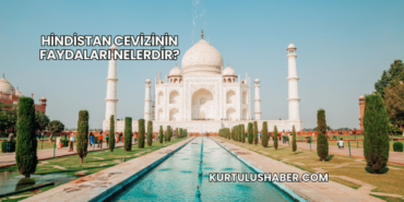 Hindistan cevizinin faydaları nelerdir?