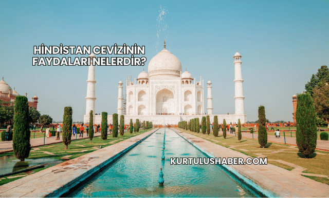 Hindistan cevizinin faydaları nelerdir?