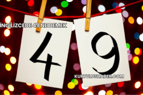 İngilizcede 49 Ne Demek