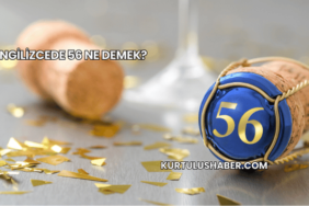 İngilizcede 56 Ne Demek?