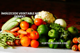 İngilizcede Vegetable Ne Demek?