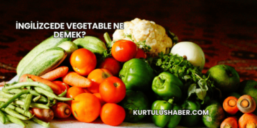 İngilizcede Vegetable Ne Demek?