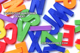 İngilizcede Waiter Ne Demek?