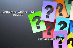 İngilizcede Who is He Ne Demek?