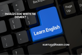 İngilizcede Write Ne Demek?