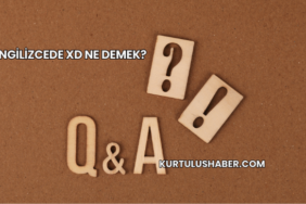 İngilizcede XD Ne Demek?