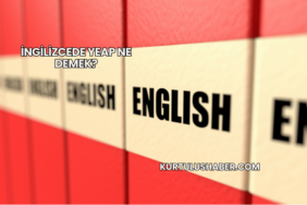 İngilizcede yeap ne demek?