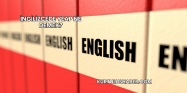 İngilizcede yeap ne demek?