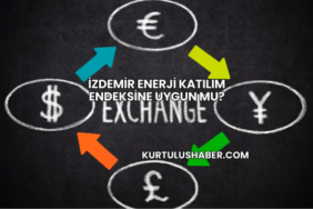 İzdemir Enerji Katılım Endeksine Uygun mu?