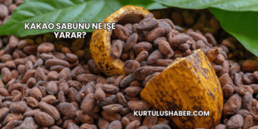 Kakao Sabunu Ne İşe Yarar?