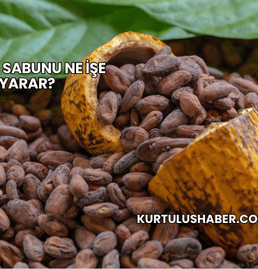 Kakao Sabunu Ne İşe Yarar?