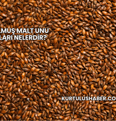 Kavrulmuş Malt Unu Zararları Nelerdir?