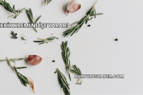 Kekik Kremi Ne İşe Yarar?