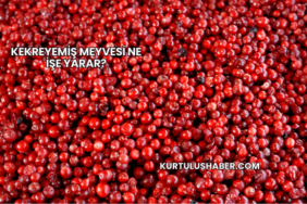 Kekreyemiş Meyvesi Ne İşe Yarar?