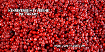 Kekreyemiş Meyvesi Ne İşe Yarar?