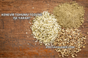 Kenevir tohumu tozu ne işe yarar?