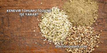 Kenevir tohumu tozu ne işe yarar?