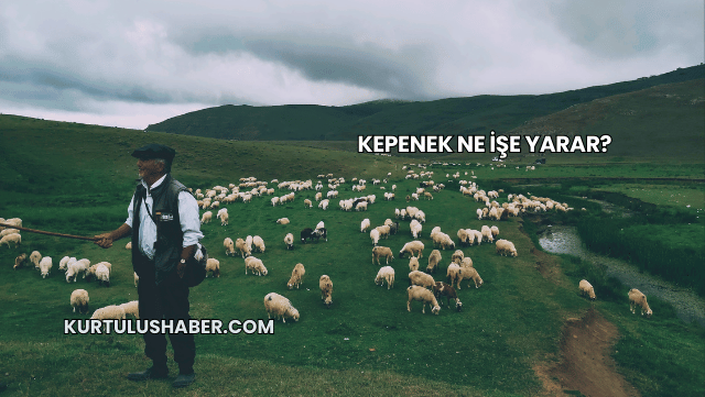 Kepenek Ne İşe Yarar?