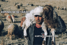 Kepenek Ne İşe Yarar?