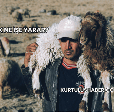 Kepenek Ne İşe Yarar?