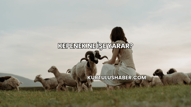 Kepenek Ne İşe Yarar?