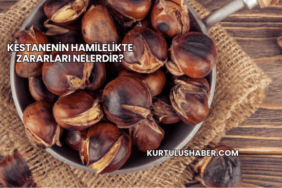 Kestanenin Hamilelikte Zararları Nelerdir?